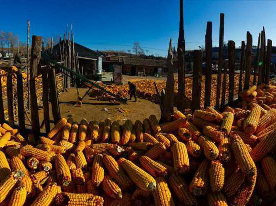 怎样做好“三农”事情？来看今年中央一号文件十大看点