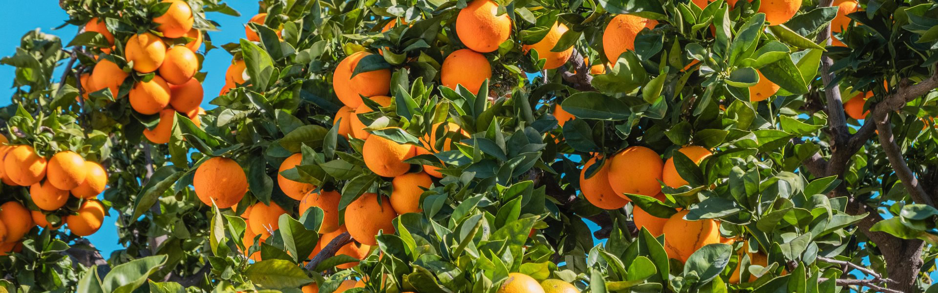 关于海洋之神hy590